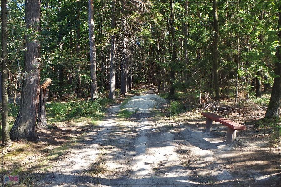 Początek trasy Suliwoods