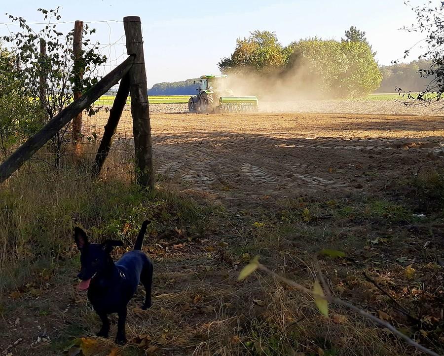 Prace polowe pod kontrolą - WPN
