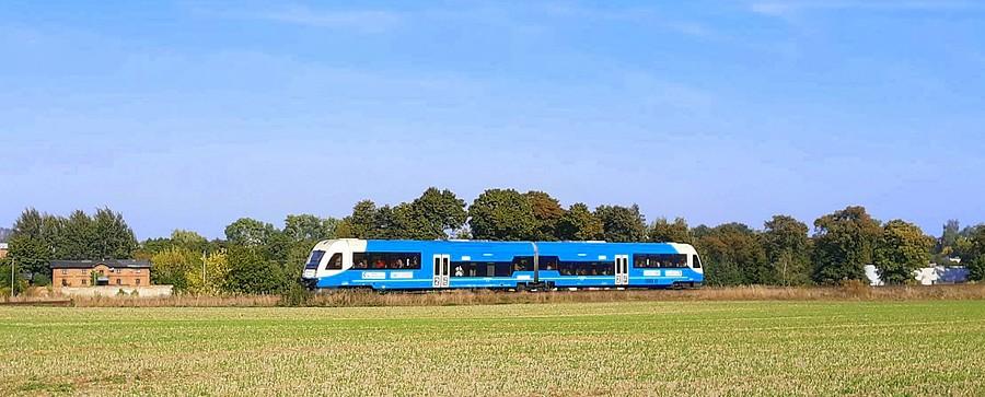 Jaskrawość szynowa - WPN