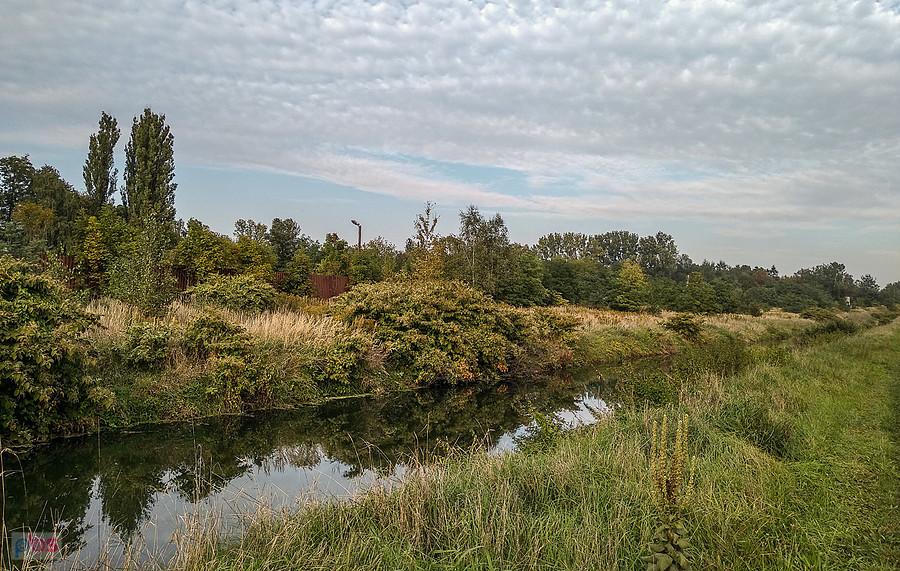 Nad potokiem Bielszowickim