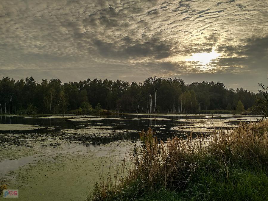 Rozlewisko na Kochłówce