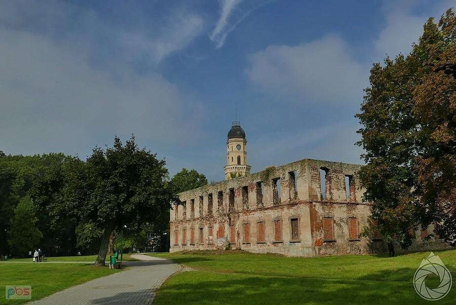 ruiny zamk książąt piastowskich w Strzelcach