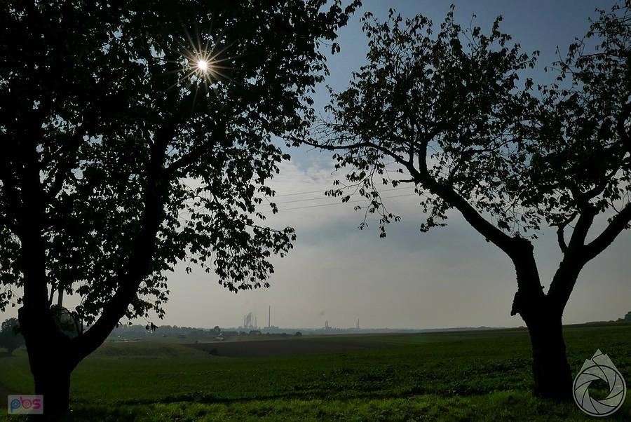 elektrownia Zdzieszowice z mgłami