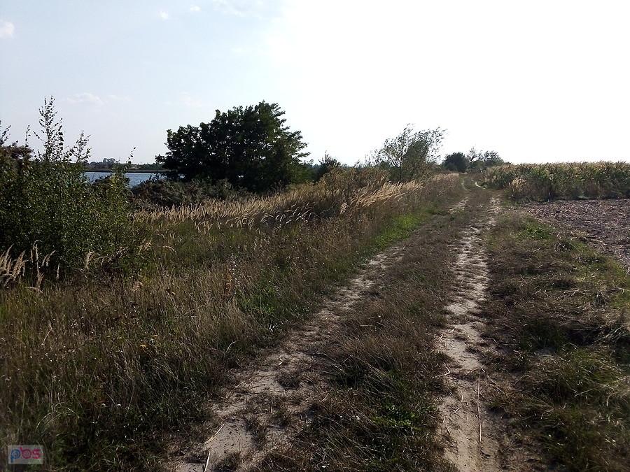 Polną dróżką nad zbiornikiem