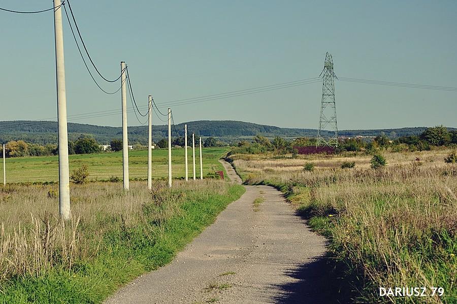 Podwarężyn - Droga w stronę Wojkowice Kościelne