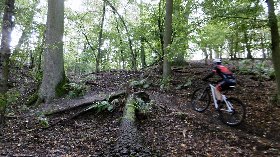 MTB w WPN (2) - zielony przy Jarosławieckim