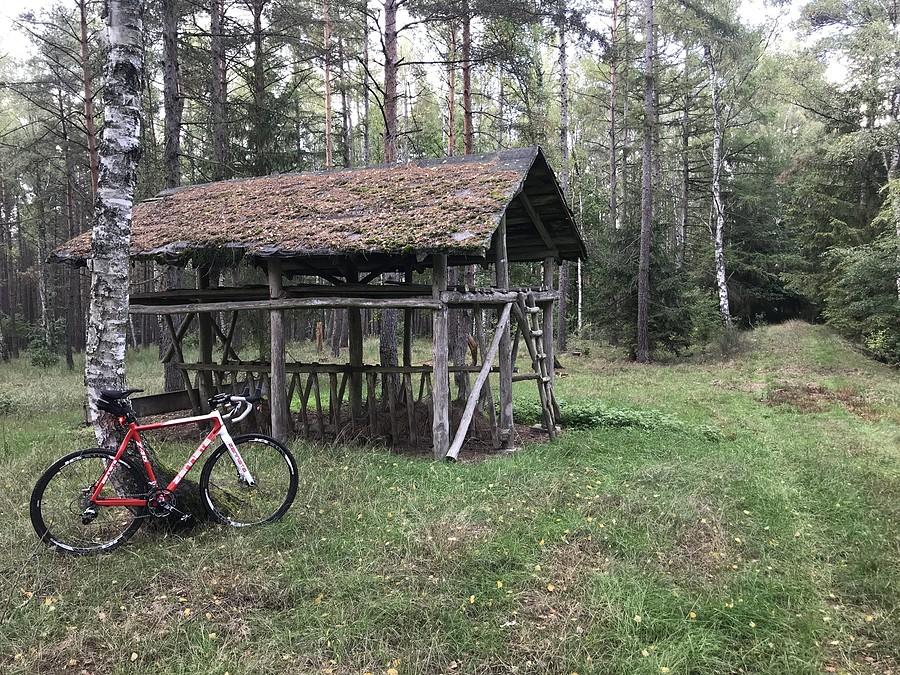 przy paśniku