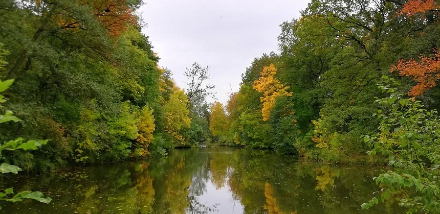 Jesień przyszła - Las Dębiński, Poznań
