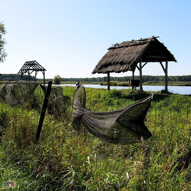 Nad stawami w Cielętnikach