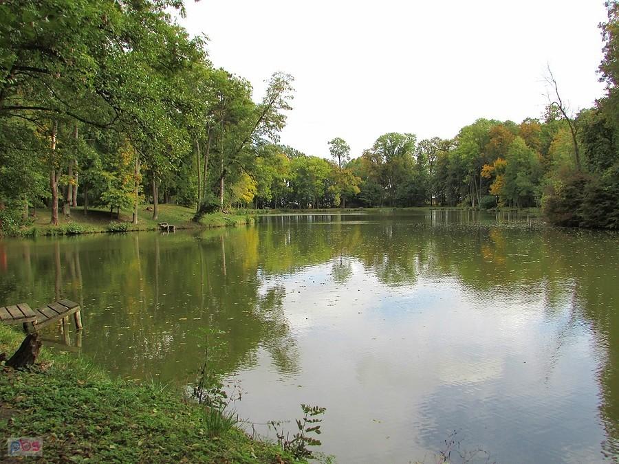 Młochów - duży staw