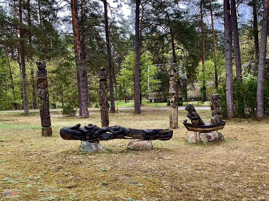 Pod Druskiennikami sporo rzeżb