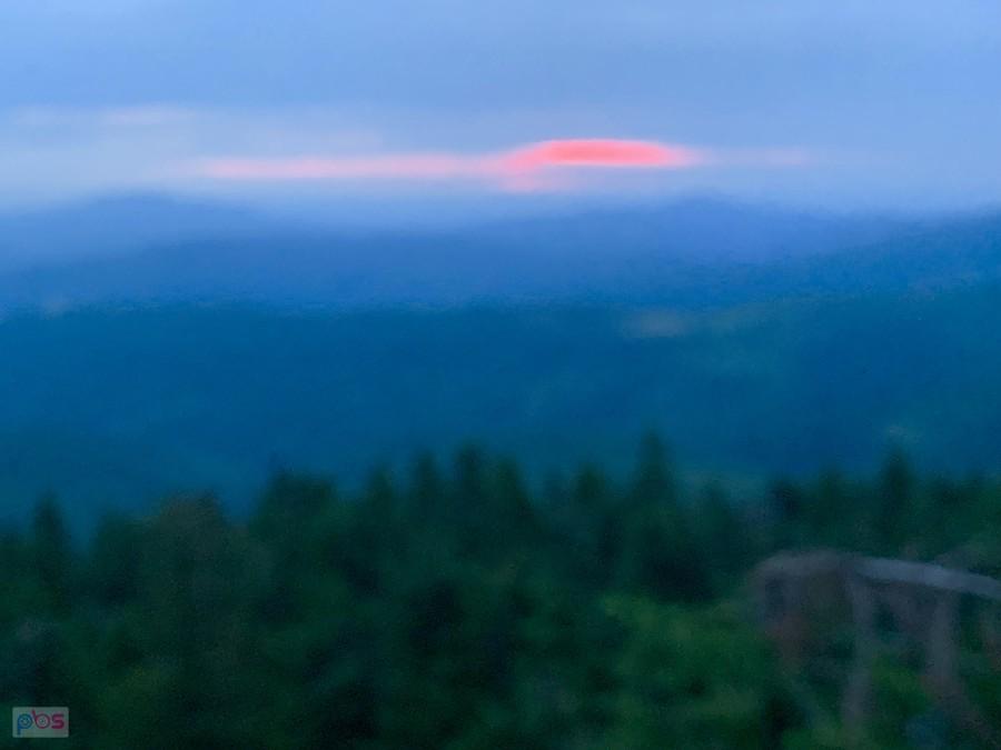 widok z wieży