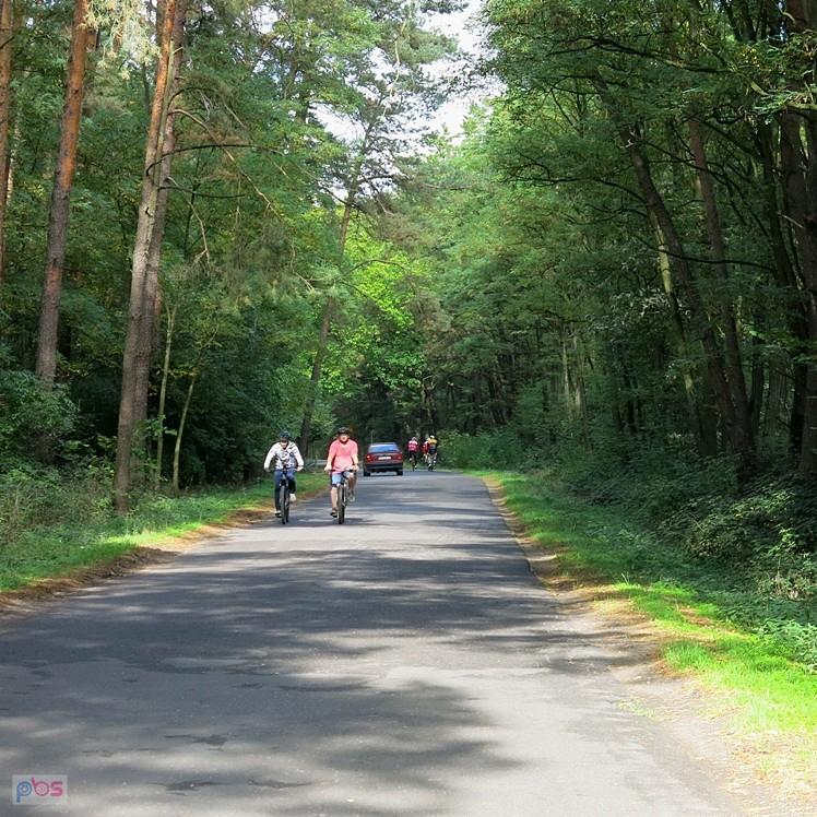 Łodziacy pojechali do lasu :) Sporo tu rowerzystów
