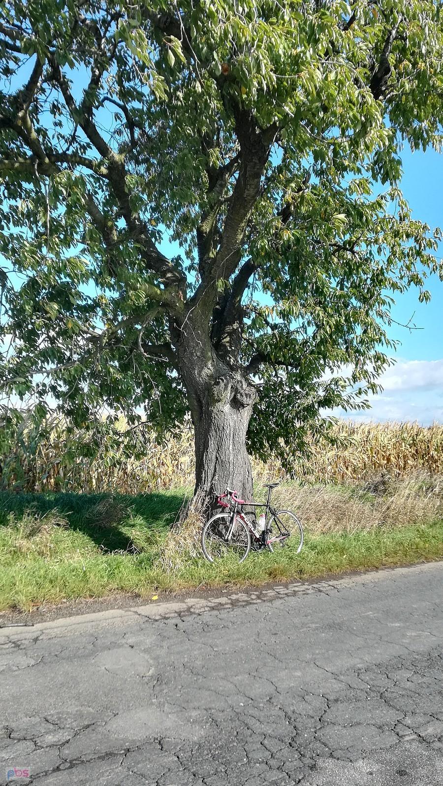 Jesienne bikefoto