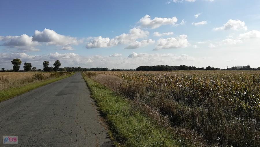 Widok w kierunku Mańczyc i pałac