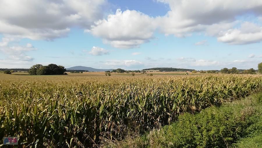 Panorama okolicy z Rochowa ze Ślężą w tle