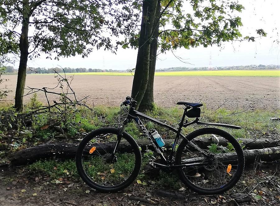 Końcówka kolorowego świata - WPN