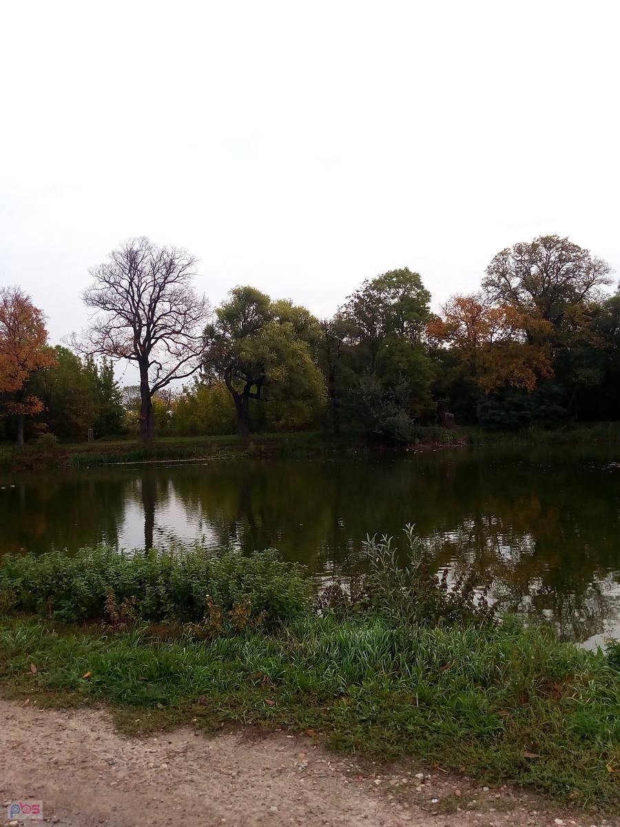Pierwszy staw