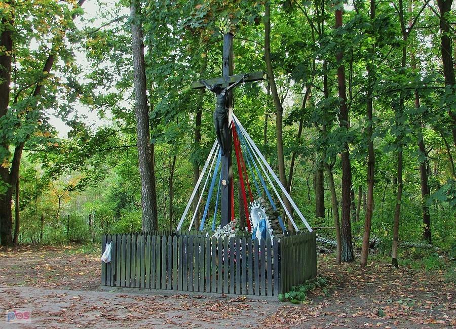 Krzyż w Czarnowie
