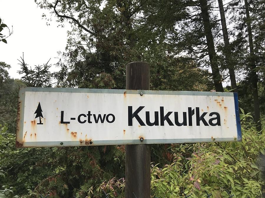 Leśnictwo Kukułka