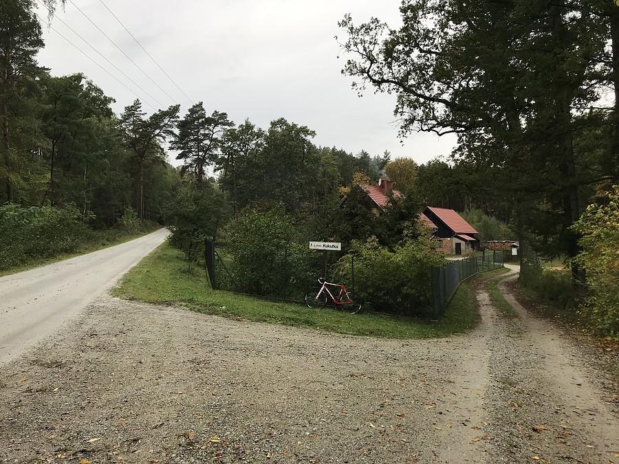 Leśnictwo Kukułka w Puszczy Noteckiej (okolice Borowego Młyna)