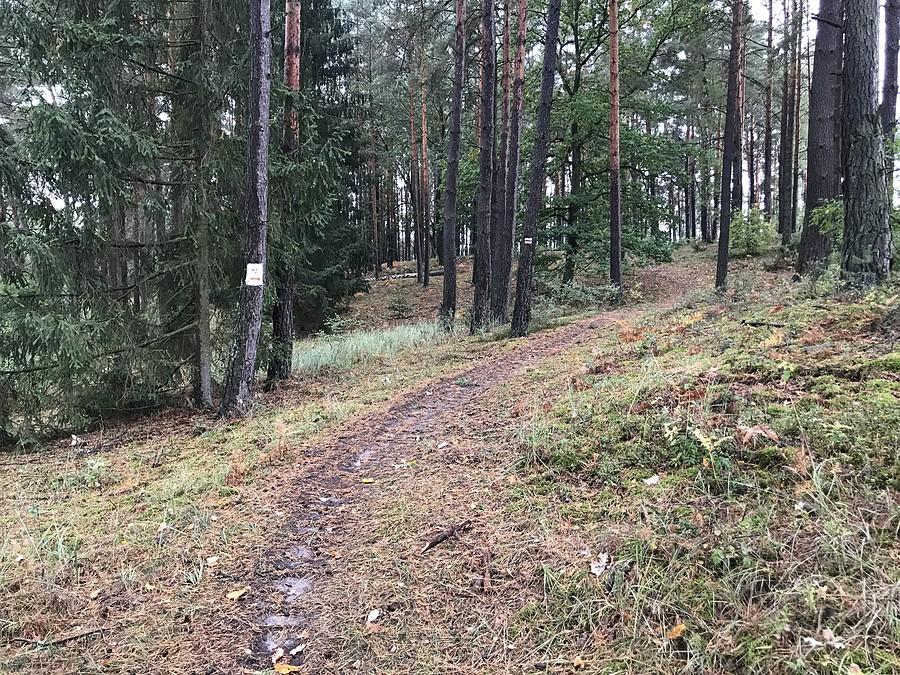 przełajowo w kierunku Kopalni Wanda