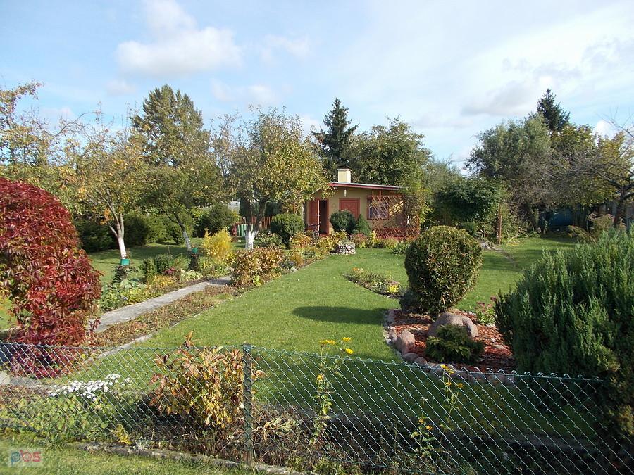 Działka Dareckiego