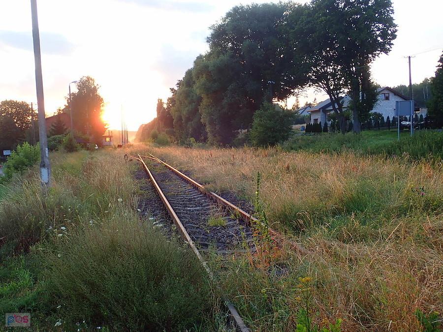 Zarastająca linia kolejowa nr 208 (odc. Działdowo-Brodnica)