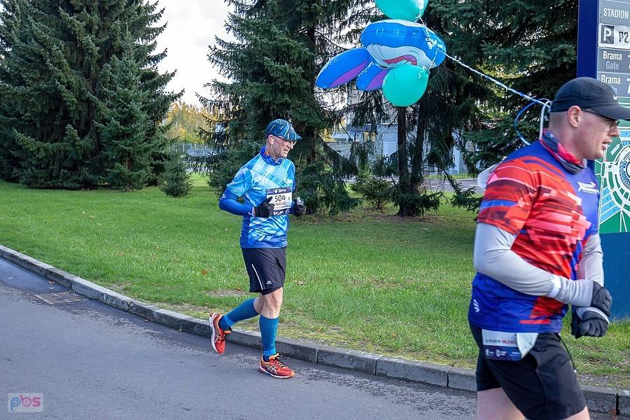 Z balonikami zająca