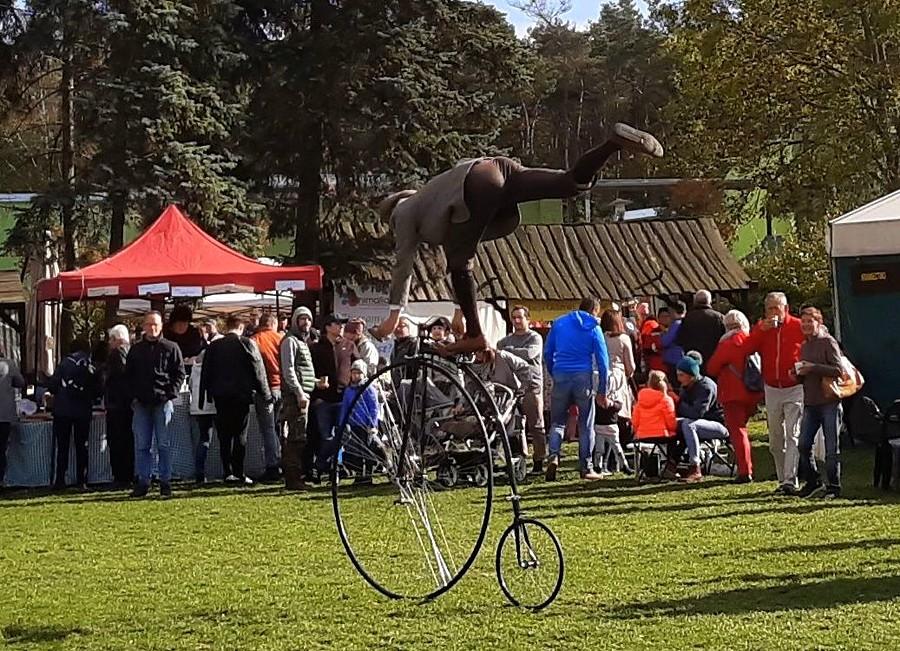 Magik bicyklowy, Muzem w Szreniawie