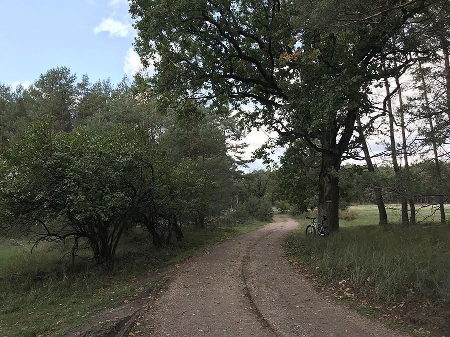 KOBUSZ (Kobush) - dawna, nieistniejąca już wieś olenderska