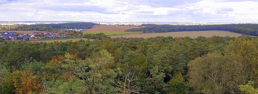 Widok z sieży w Szreniawie