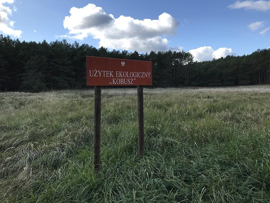 Użytek ekologiczny "KOBUSZ" w Puszczy Noteckiej