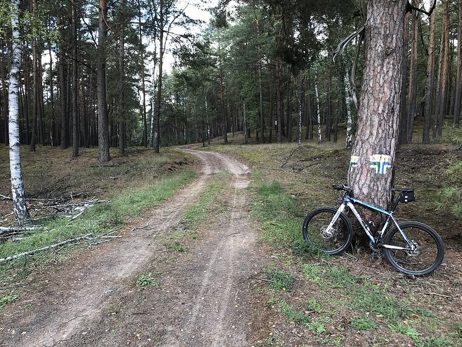 skrzyżowanie puszczańskich szklaków