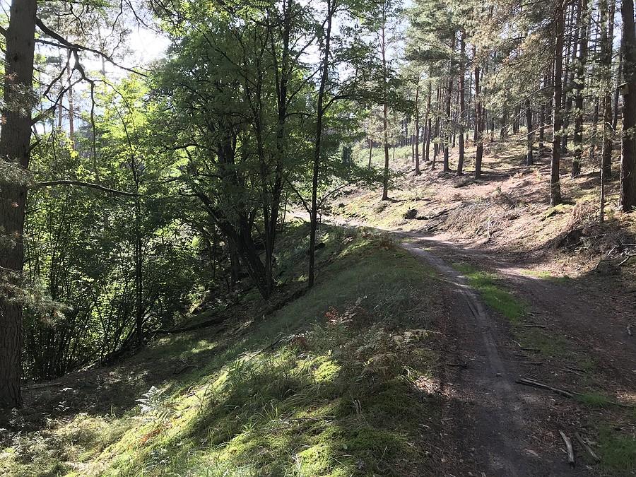 źródlisko jeziora Kubek