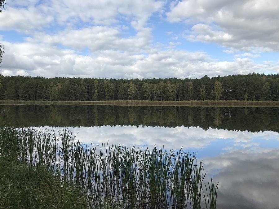 Staw Samita