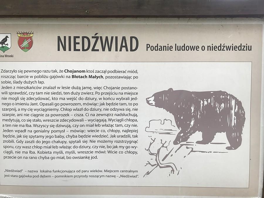 kolejne ciekawostki