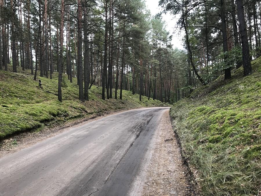 droga powrotna w kierunku Chojna