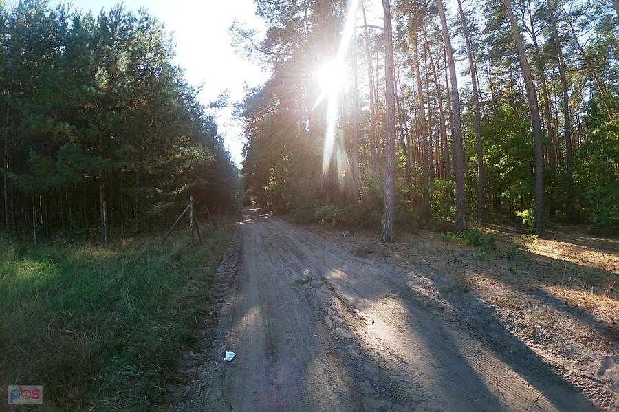 Nowa Wieś. Opłotki i kawałek szutrowo-piaszczysty