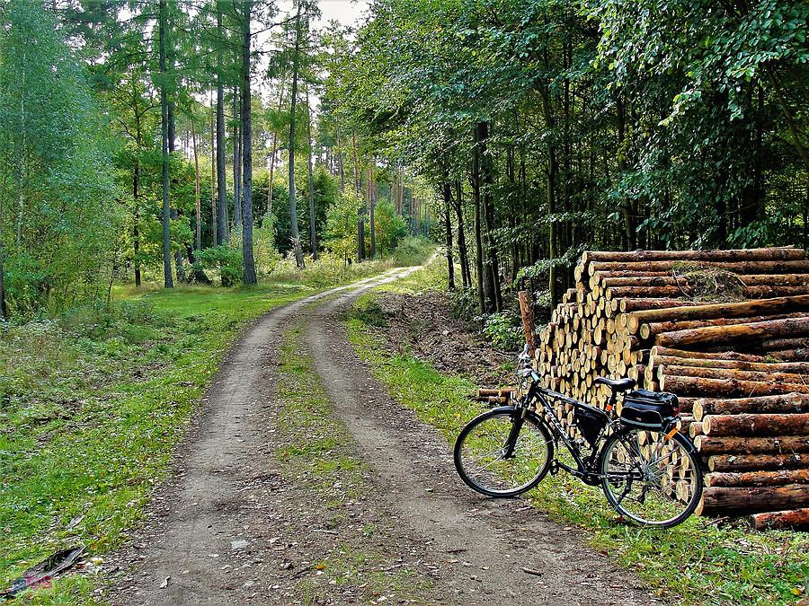 Rowerem po Kociewiu - Tczew i jego okolice.