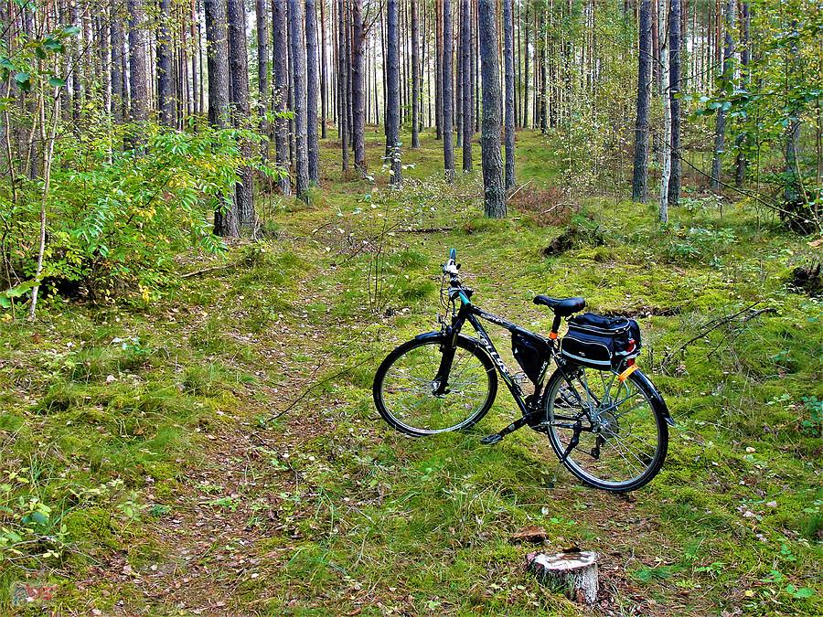 Rowerem po Kociewiu - Tczew i jego okolice.