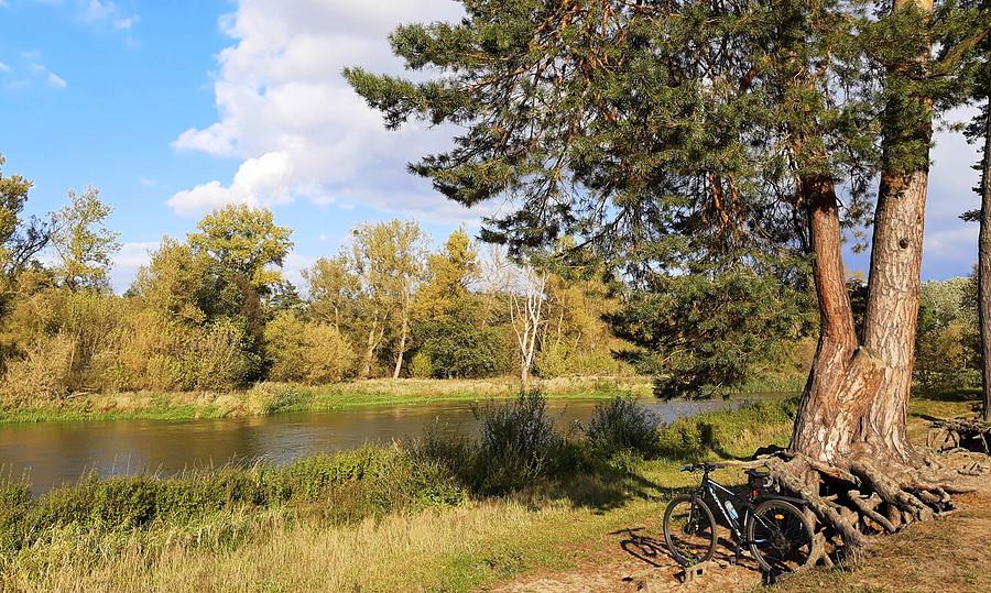Korzenie są najważniejsze - Nadwarciański, WPN