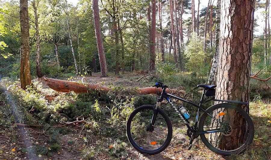 Tu jeszcze niedawno była dróżka - Nadwarciański, WPN