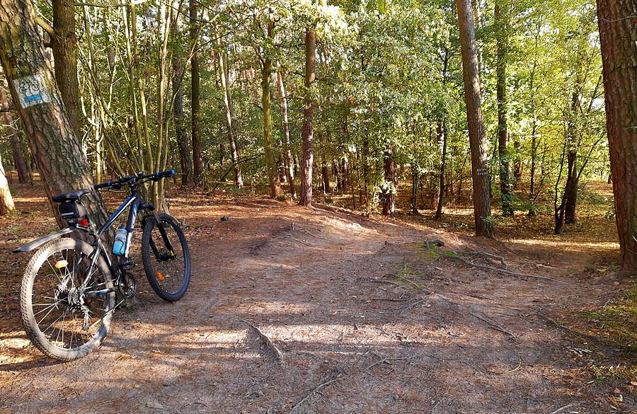 Namiastka mtb - Nadwarciański, WPN