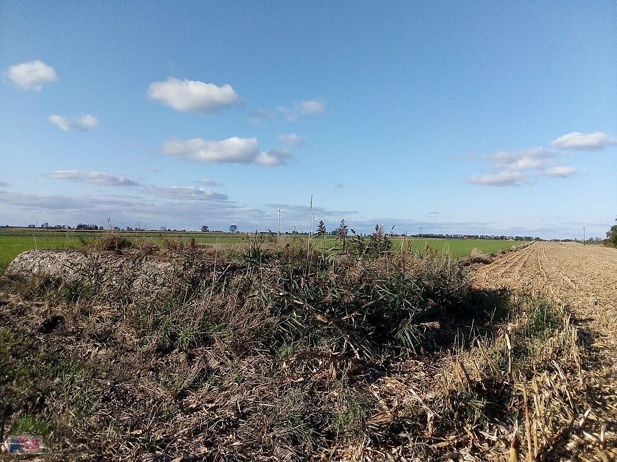 Natura maskuje najlepiej