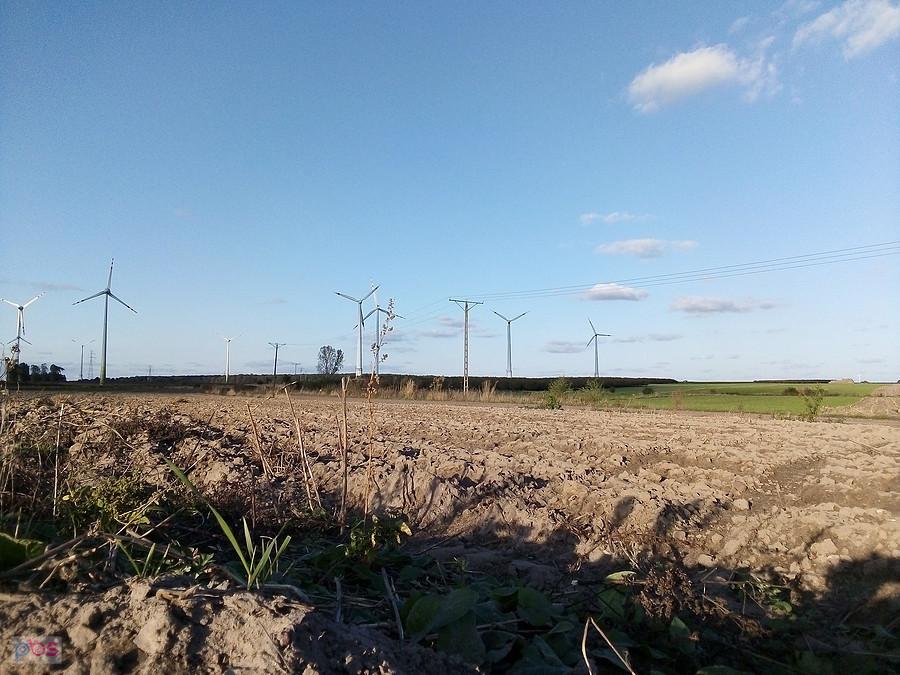 Widok z bunkru