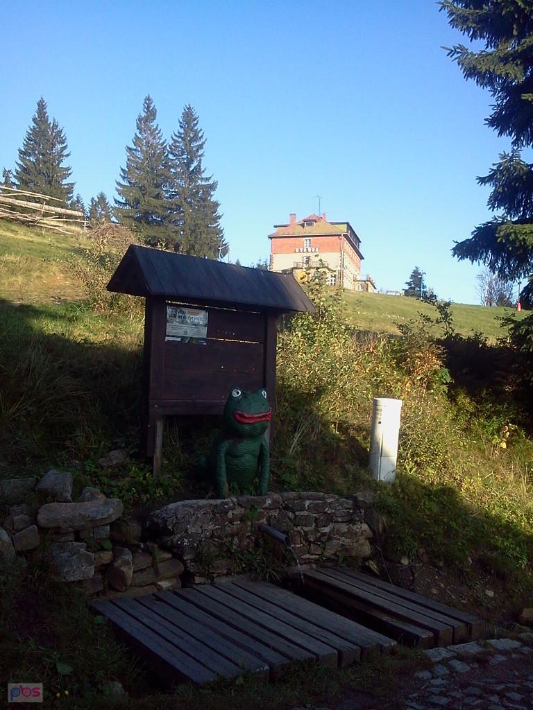 Źródło Czarnej Ostrawicy