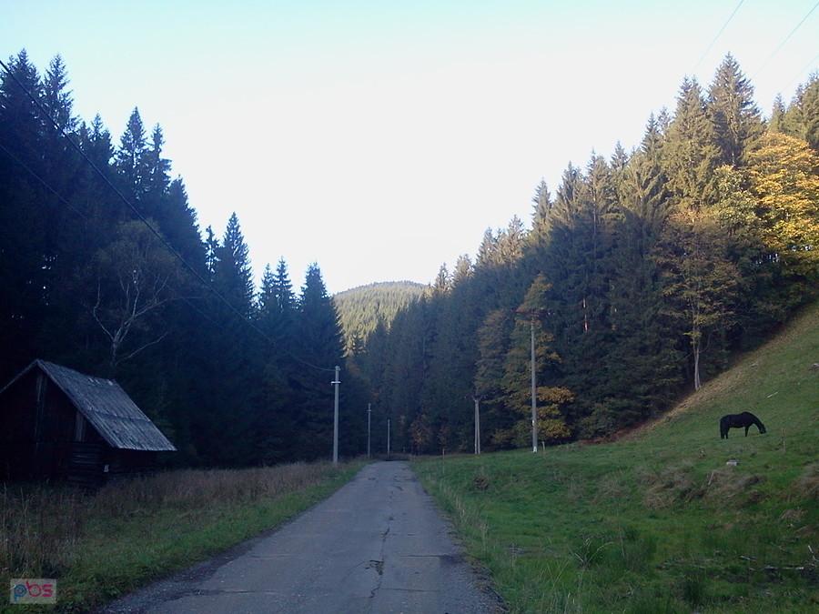 Zjazd w doliny