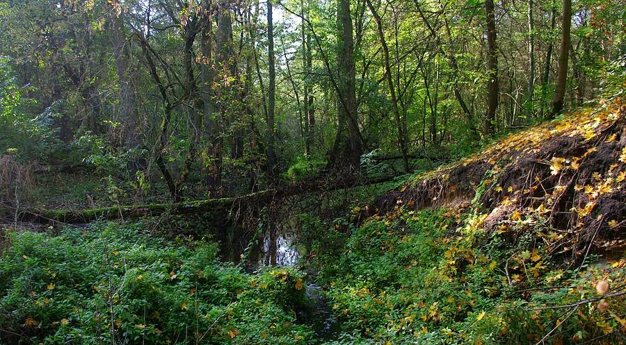 Dobrze, że jest jeszcze taki świat - Wielkopolski Park Narodowy