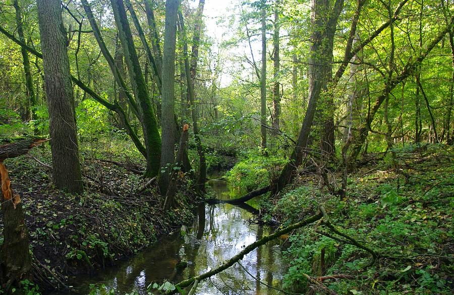 Wolno, spokojnie - Wielkopolski Park Narodowy